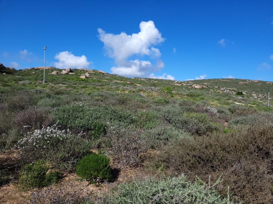 0 Bedroom Property for Sale in St Helena Views Western Cape